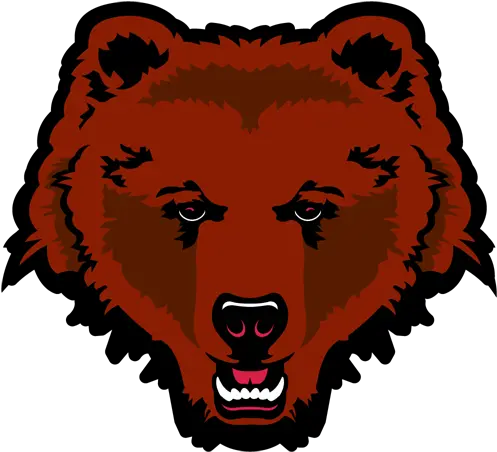 Brown Bears Brown Bear Logo Png Full Size Png Download Brown Bears Basketball Bear Logo Png