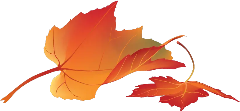 Free Png Autumn Leaves Konfest Maple Leaf Autumn Leaves Png