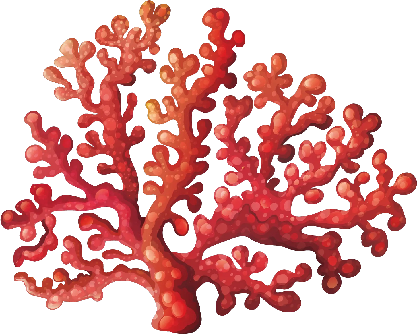 Kisspng Coral Reef Royalty Free Clip Cartoon Colorful Coral Coral Reef Png