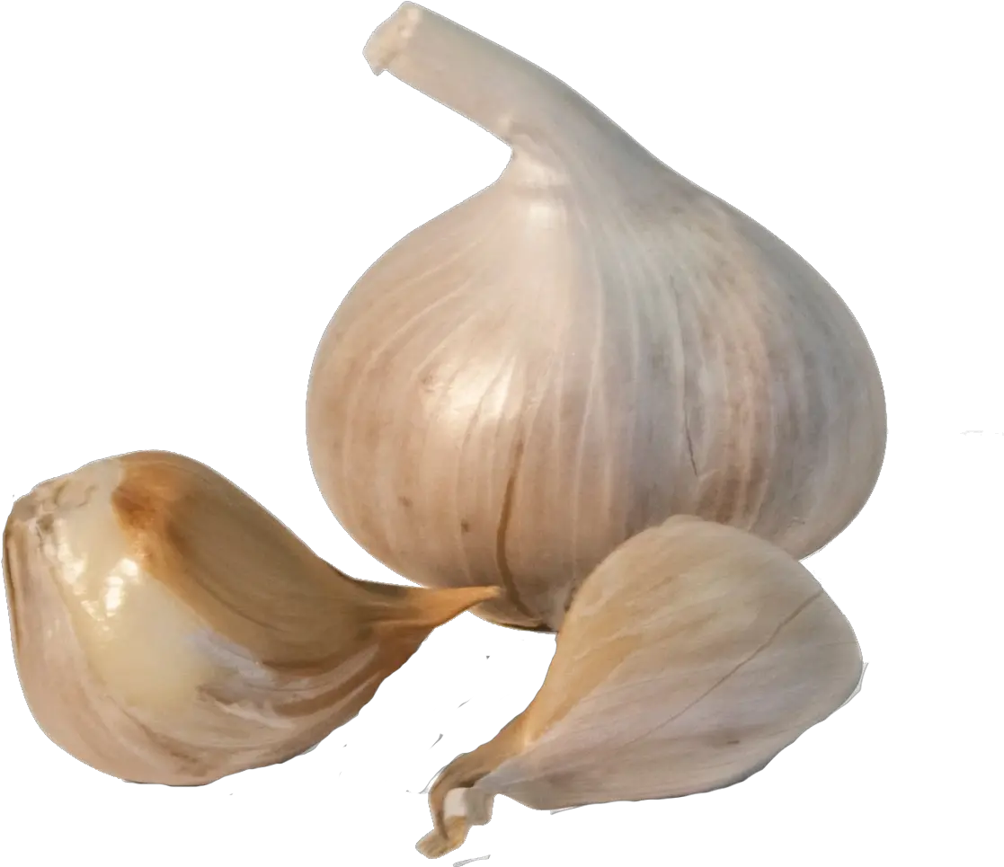 Download Garlic Png Transparent Image Garlic Transparent Png Garlic Transparent Background