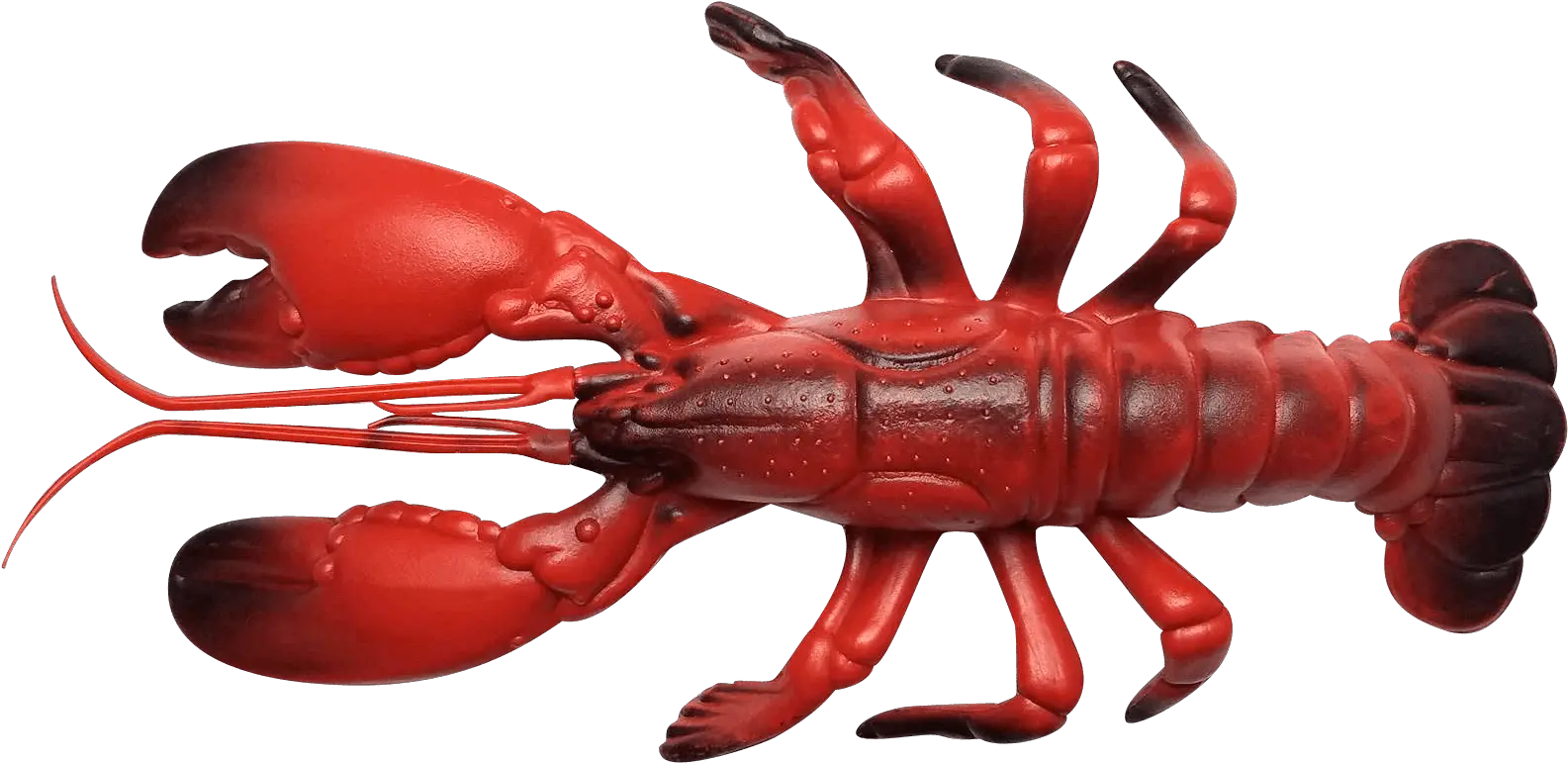 Download Hd Olhzn Space Lobster Lobster Transparent Png American Lobster Lobster Png