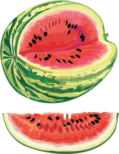 Watermelon Transparent Background Transparent Background Watermelon Png T Watermelon Transparent