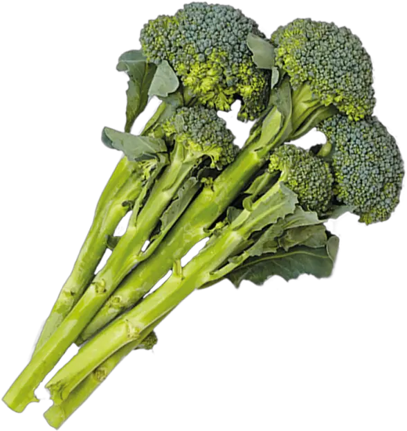 Download 1 Cup Broccolini Png Broccoli Transparent Background