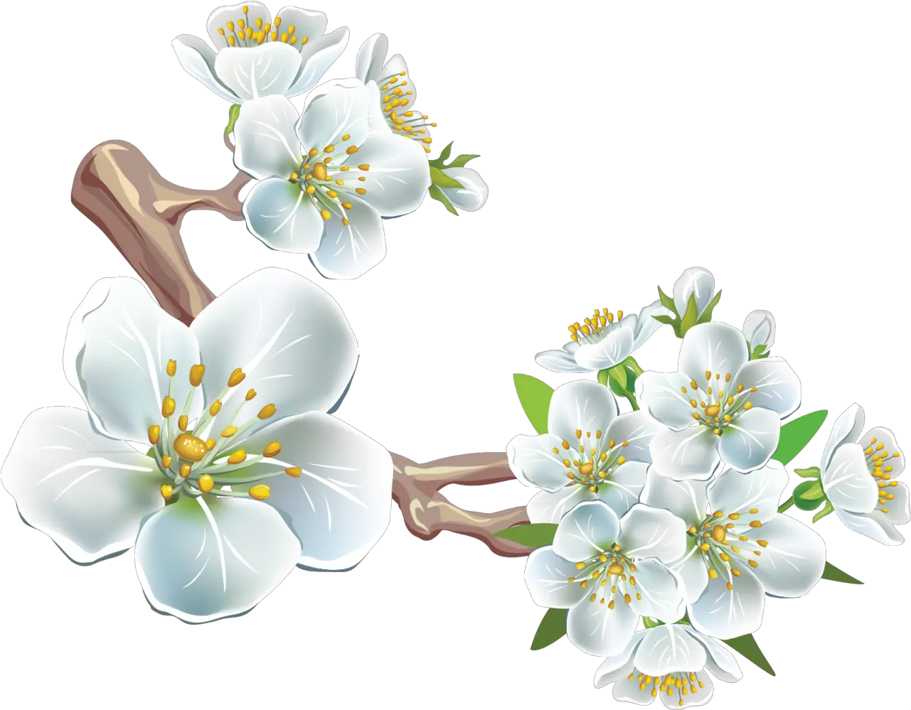 Branch Clip Art Spring Flowers Png Download 1280998 Cherry Blossom Spring Flower Png