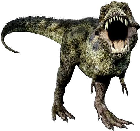 T Many Claws Did T Rex Have Png T Rex Png