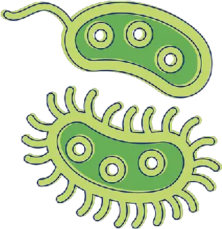 Types Infections Apk 1 Bacteria Cartoon Images Transparent Png Bacteria Transparent