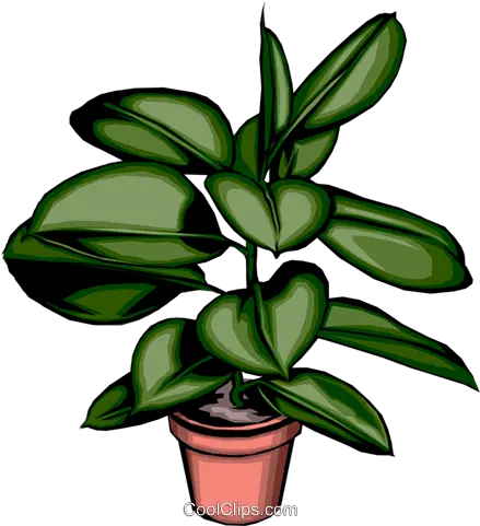 Potted Plant Royalty Free Vector Clip Free Potted Plants Vector Png Plant Vector Png