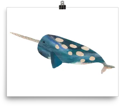 Download Narwhal Full Size Png Image Pngkit Humpback Whale Narwhal Png