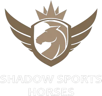 Shadow Man Ben Hobday Eventing Mumbai Fitness Academy Logo Png Shadow Man Png
