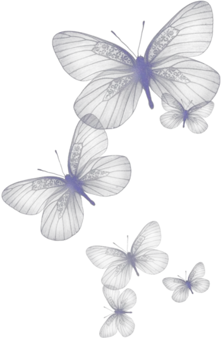 Purple Butterfly Clipart Transparent Background Butterfly Clipart Png Butterfly Clipart Transparent Background png