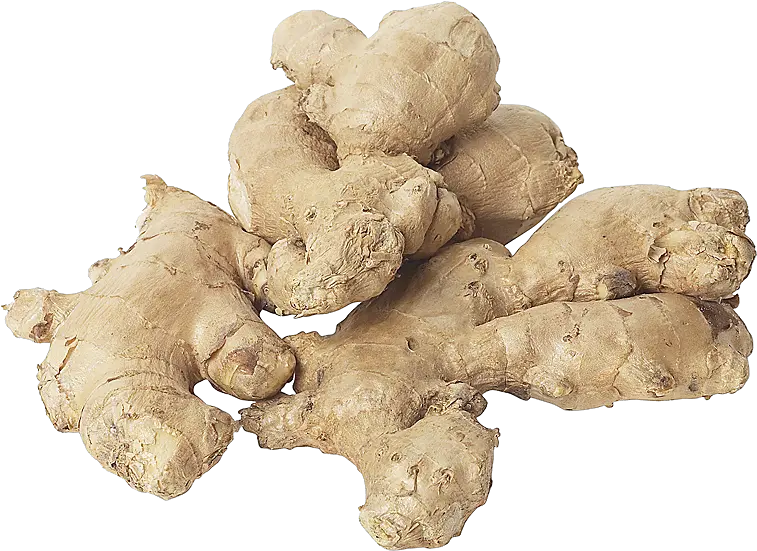 Ginger Png Image Dry Rot Of Ginger Ginger Png