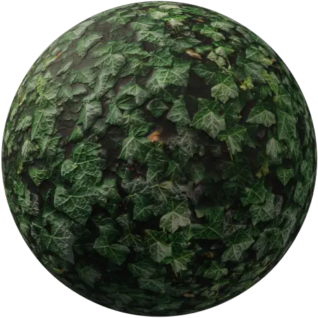 Blenderkit Organic Material Ivy Dark By Frederic Hoffmann Sphere Png Ivy Transparent