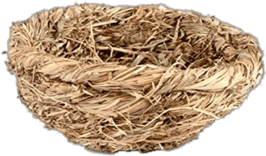 Straw Bird Nest Transparent Png Bird Nest Png Nest Png