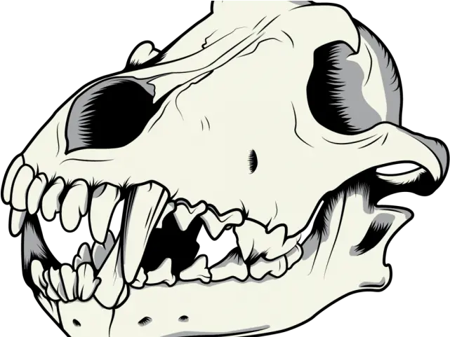 Mouth Clipart Wolf Dog Skull Png Dinosaur Skull Png