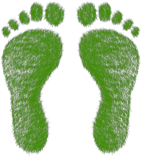 The Ecological Footprint Challenge U2014 Dr Sharon Deem Png Foot Print