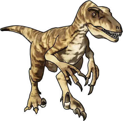 Raptor Raptor Dinosaur Png Full Size Png Download Seekpng Tyrannosaurus Dinosaur Png