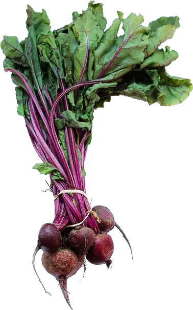 2 Bunches Beets Swiss Chard Beet Tops Png Beet Png