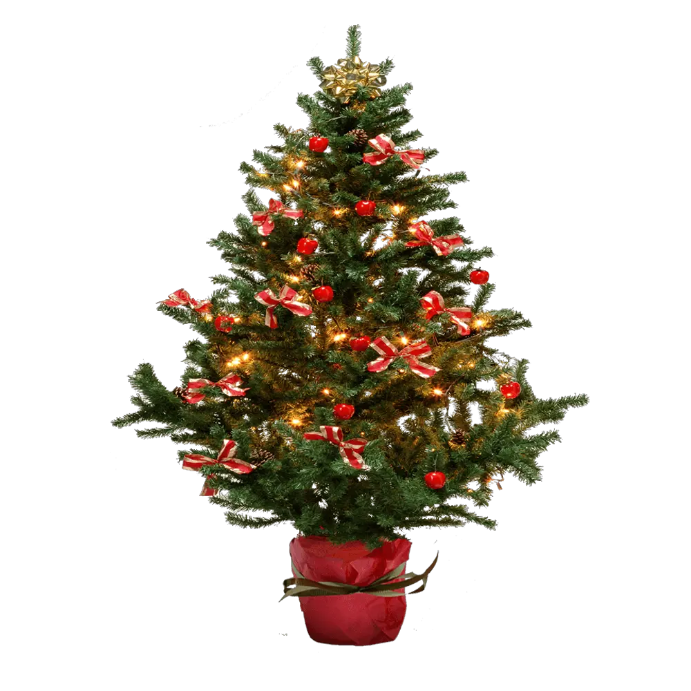 Christmas Light Tree Png