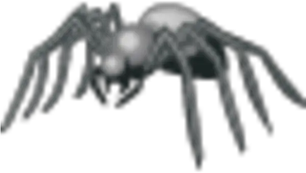 Spider Icon For Teen Png Black Spider Icon