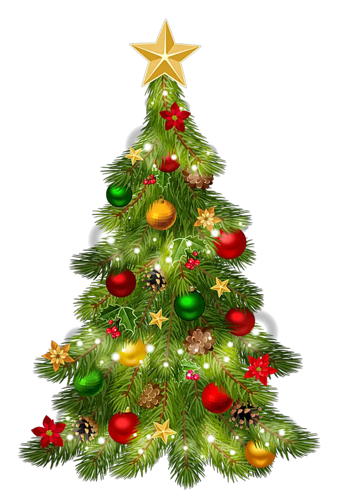 Christmas Boxwood Tree Png Clipart