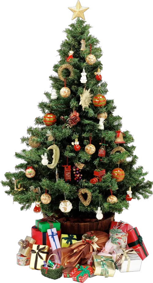 Chrarlie Brown Christmas Tree Png
