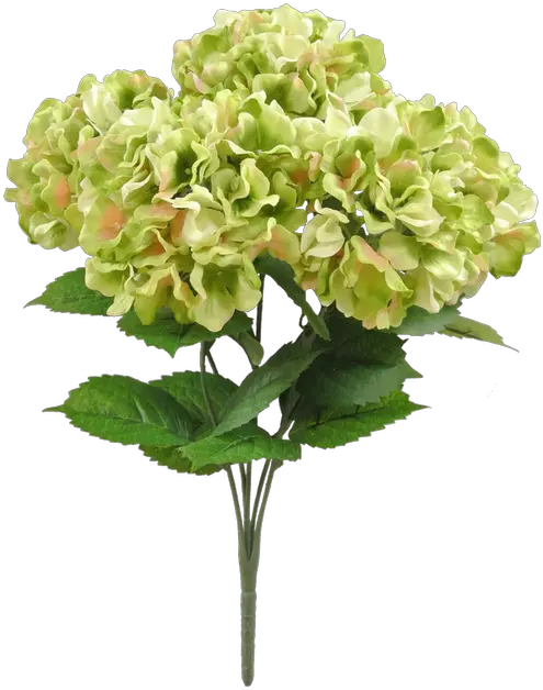 Hydrangea Png 20 Hydrangea Bush Artificial Flower Artificial Flower Hydrangea Png