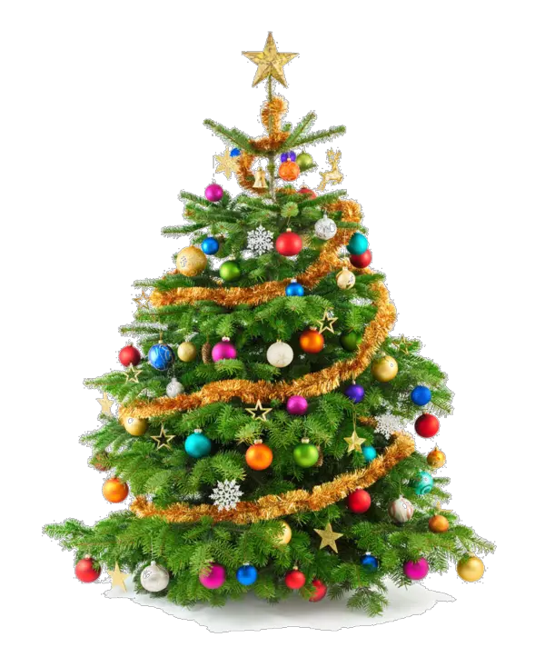 Bing Blue Christmas Tree Png