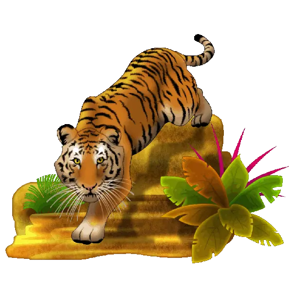 Cats Clipart Png Collection Of Tiger Png High Quality Tiger Clipart Tiger Png