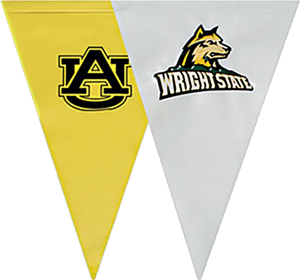 Custom Vinyl Backstroke Flag Vertical Png Speedo Logos