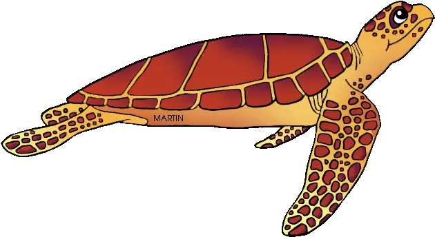 Sea Turtle Clipart Kempu0027s Ridley South Carolina State Loggerhead Sea Turtle Clipart Png Turtle Clipart Png