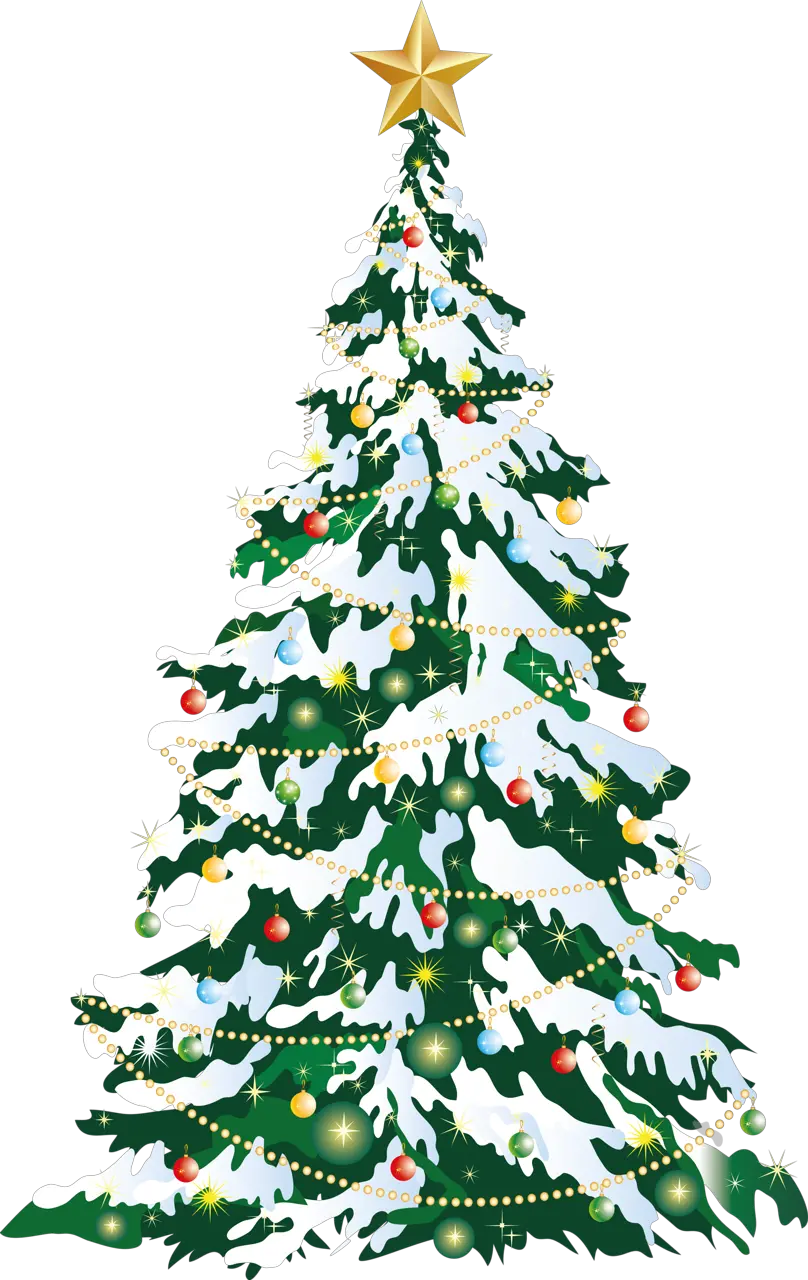 Baled Christmas Tree Png