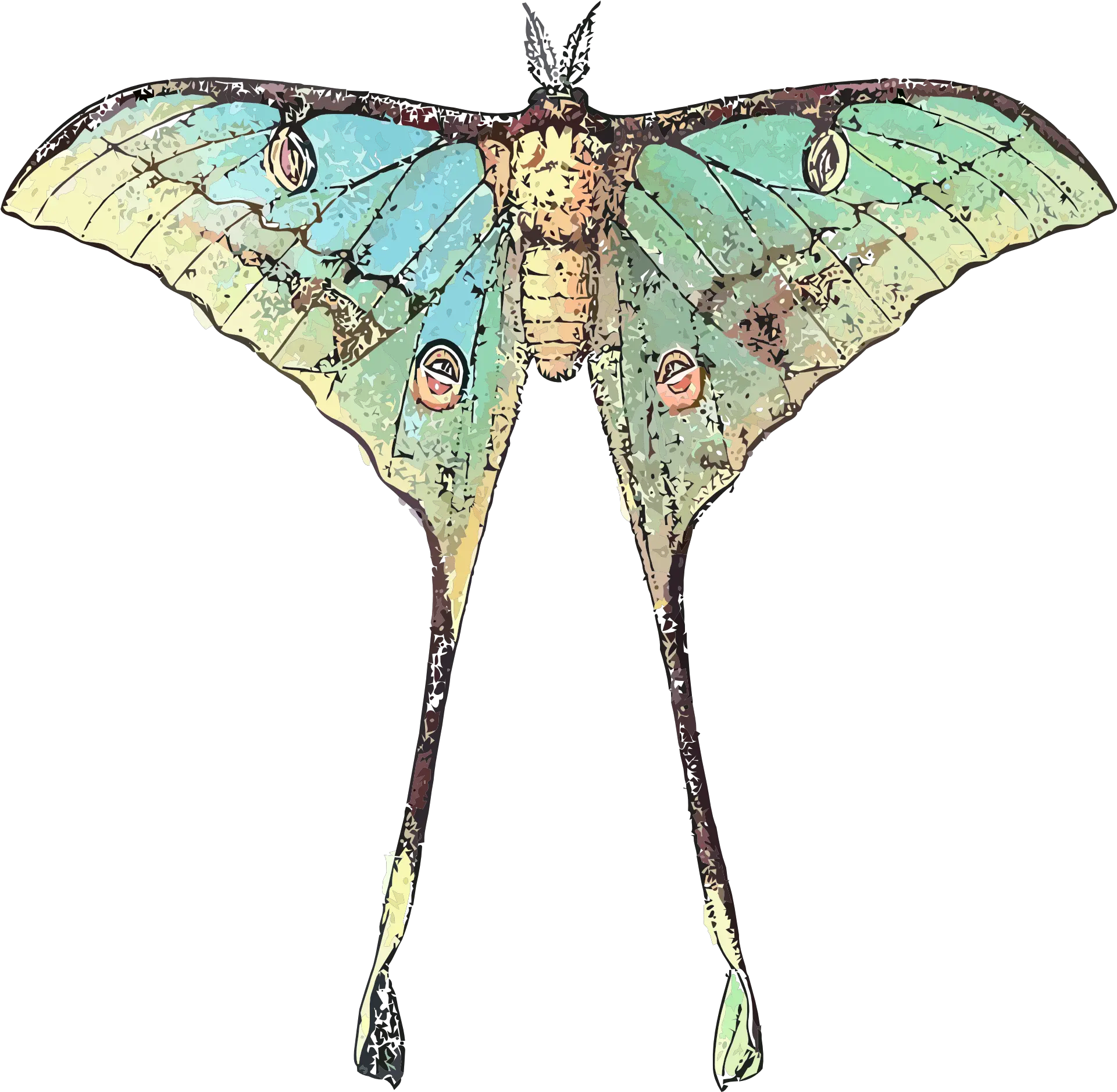 Download Drawing Of A Butterfly Insect With Long Wings Butterfly With Long Wings Png Butterfly Wings Png png