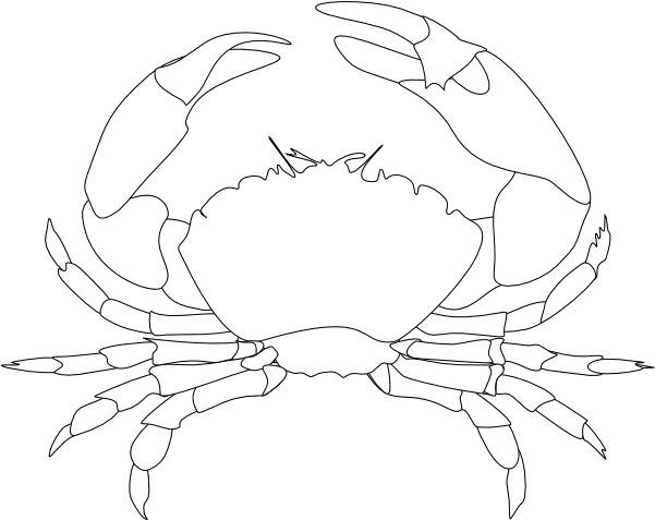 Whte Crab Clip Art Vector Clip Art Online White Crab Logo Png Crab Png
