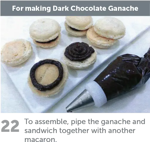 Vanilla Macaron Gallery Png