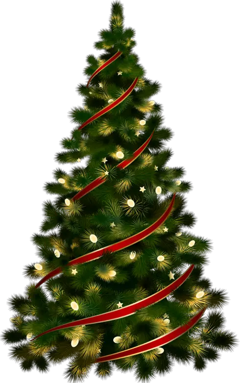 Png Image Of Christmas Tree