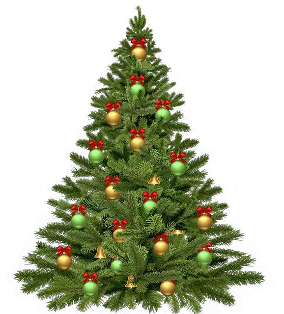 Png Christmas Tree Outline