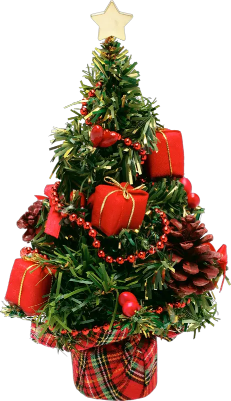 Png Christmas Tree Images
