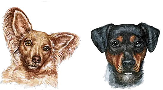 Dog Watercolor Painting Watercolor Dogs Png Download 600 Watercolor Dog Clipart Png Dogs Png