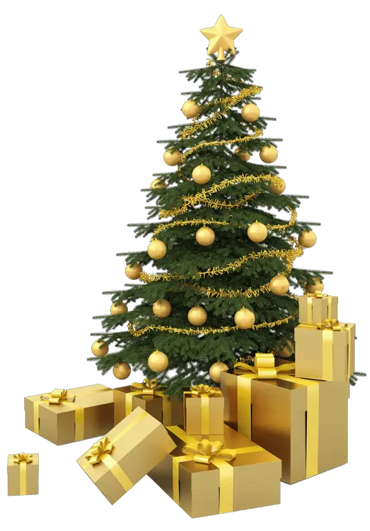 Little Christmas Tree Png