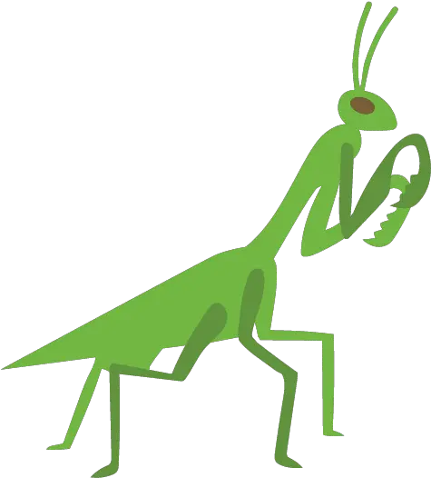 Good Bugs High Yield Products Canada Png Praying Mantis Icon
