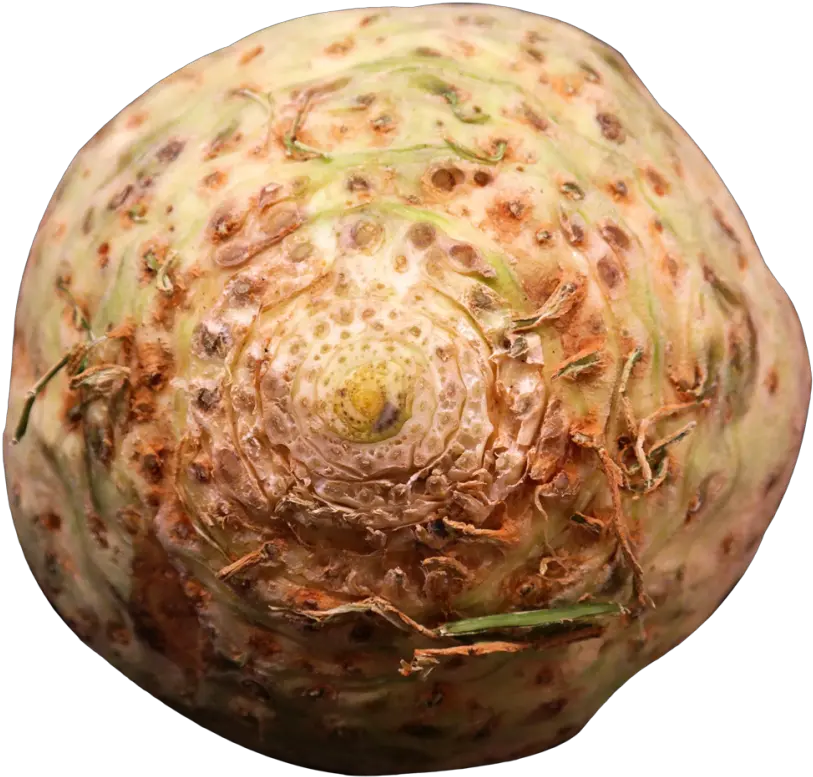 Fresh Celery Root Png Image Celeriac Transparent Celery Png