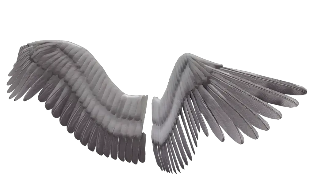 Angel Wings Png Image Background Bird Wings Transparent Png Wings Transparent Background