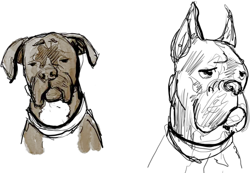 Download Abandon Bonus Page Draw A Boxer Dog Face Png Draw A Boxer Dog Face Dog Face Png