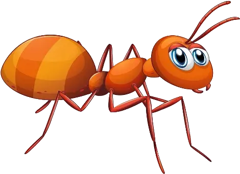 Red Ants Cartoon Pictures Cartoon Picture Of Ant Imagenes De Hormiga En Caricatura Png Ant Png