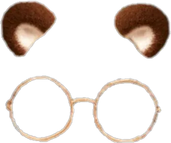 Library Of Snapchat Glasses Filter Png Cute Bear Snapchat Filter Snapchat Dog Filter Transparent