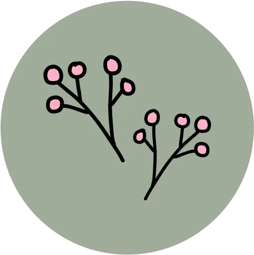 Flower Spring Highlight Garden Nature Ecology Twig Png Twig Icon