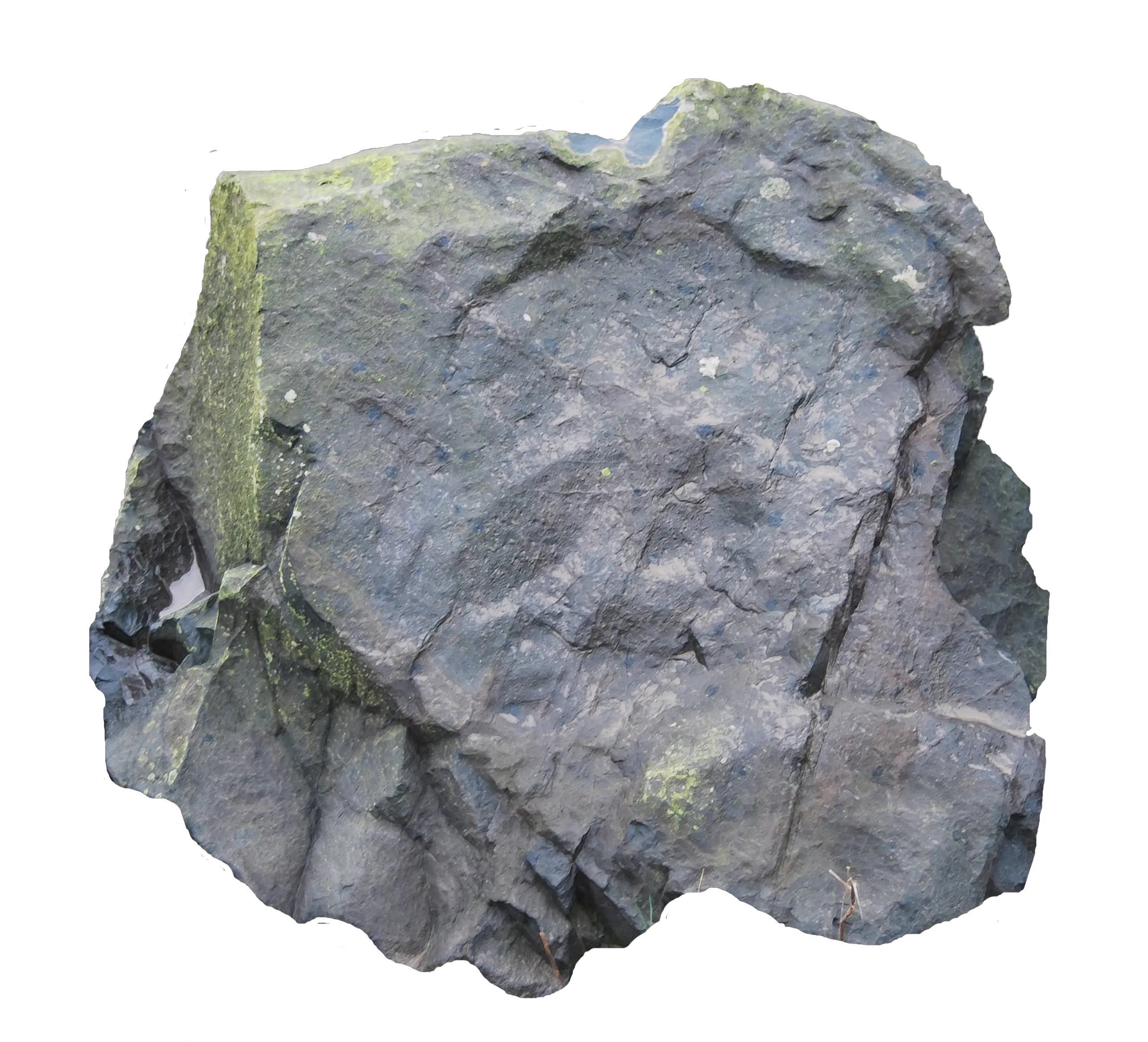 Download Free Png Rock Rock Top View Png Rocks Transparent Background