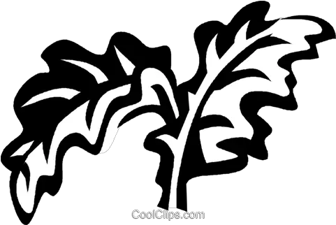 Kale Royalty Free Vector Clip Art Illustration Vc029319 Vector Kale Leaf Clipart Png Kale Png