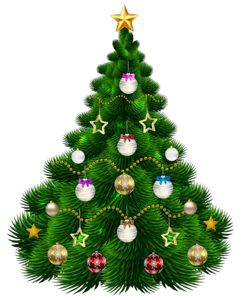 Beautiful Christmas Tree Png
