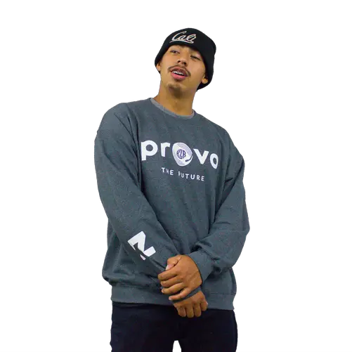 Provo Crewneck No Future Records Long Sleeve Png Obey Icon Hat